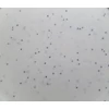 Kép 3/3 - Filanora Filatech ASA UV 1,75mm marble natúr (csontfehér)/fekete
